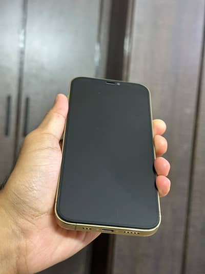 Apple iPhone 12 Pro