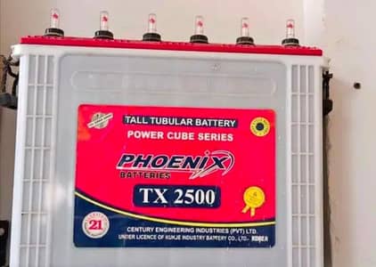 Tall Tubular battery TX 2500