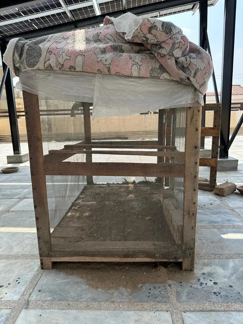 Wooden Cages Available for Sale — photo 6