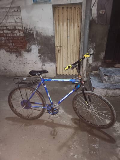 phonix cycle for sale