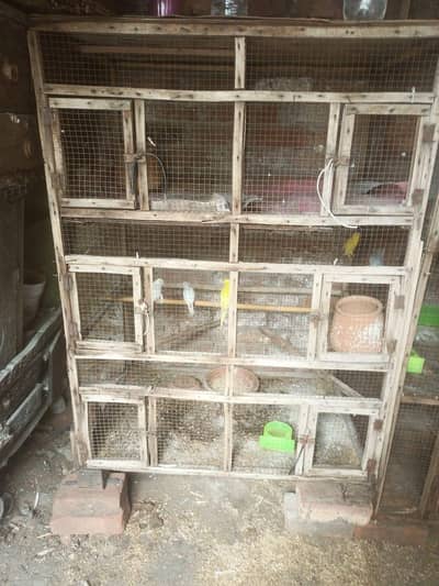 wooden cages