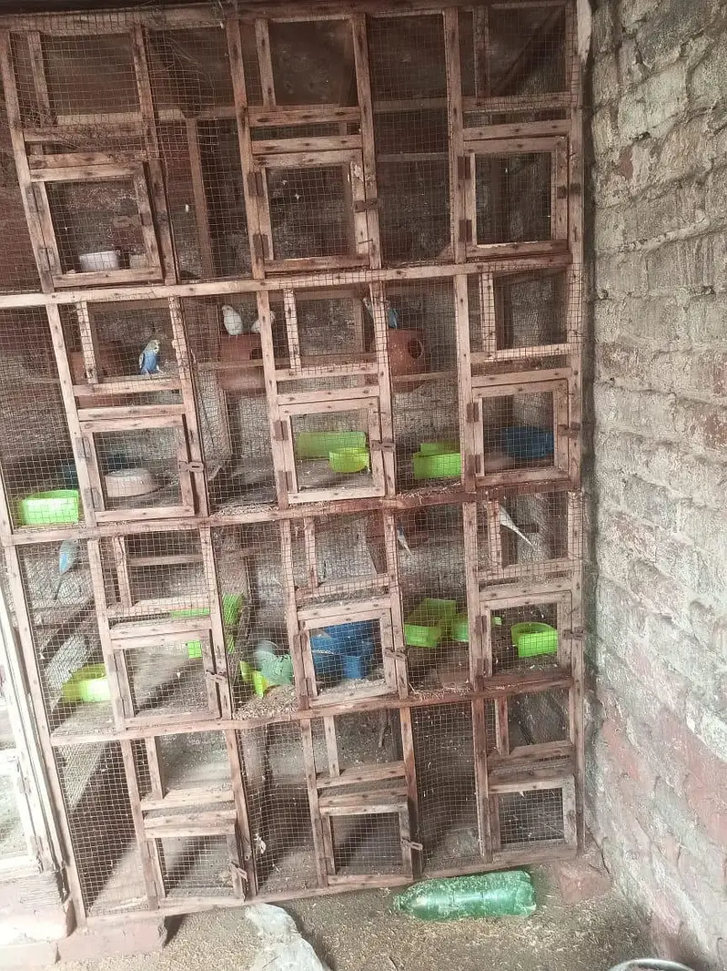 wooden cages — photo 2