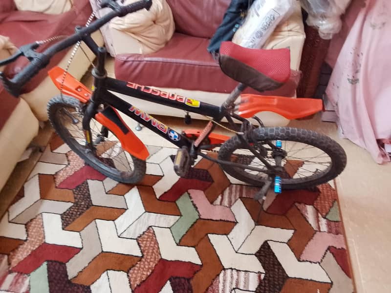 bicycle 2