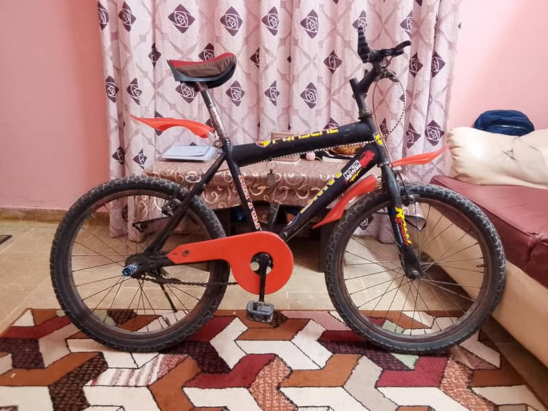bicycle 3