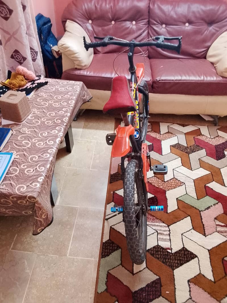 bicycle 4