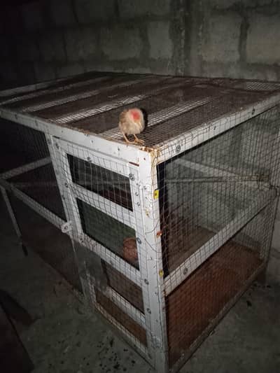 cage for sale urgent. .