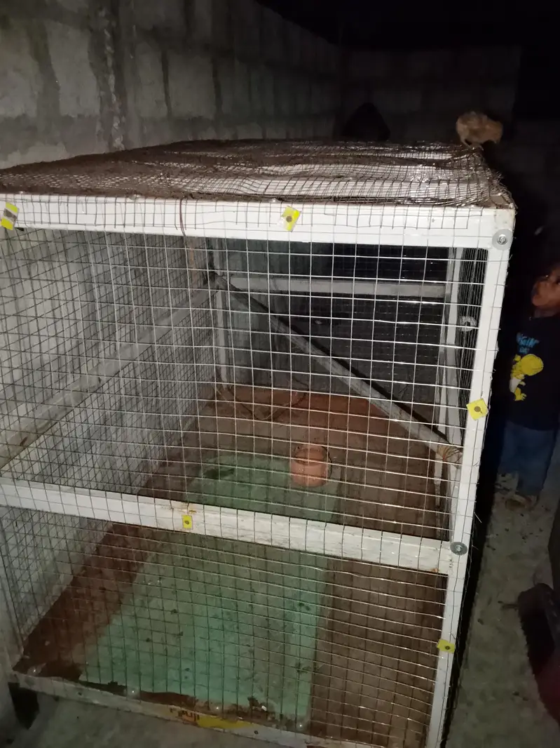 cage for sale urgent. . — photo 2