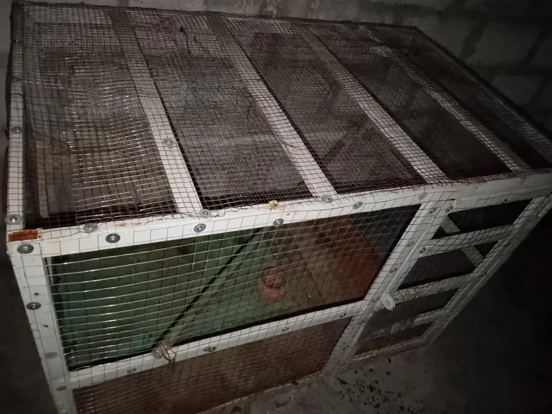 cage for sale urgent. . — photo 3
