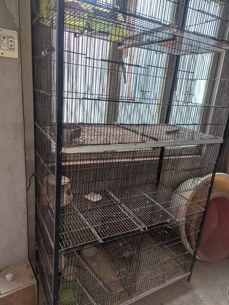 bird cage 0