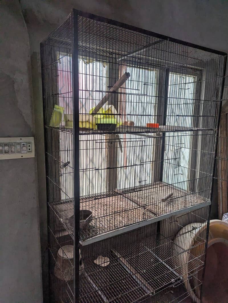 bird cage 1