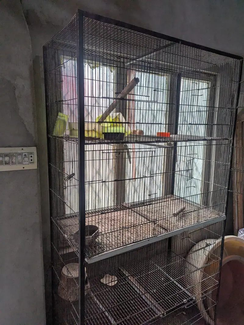 bird cage — photo 2