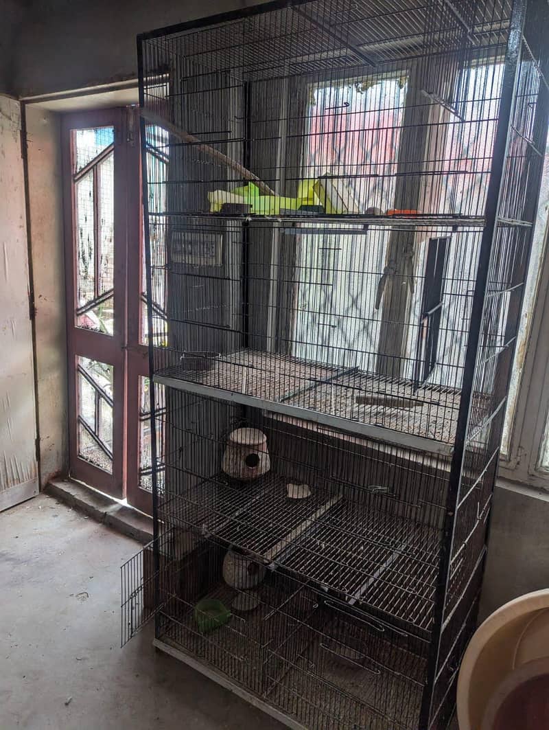 bird cage 2