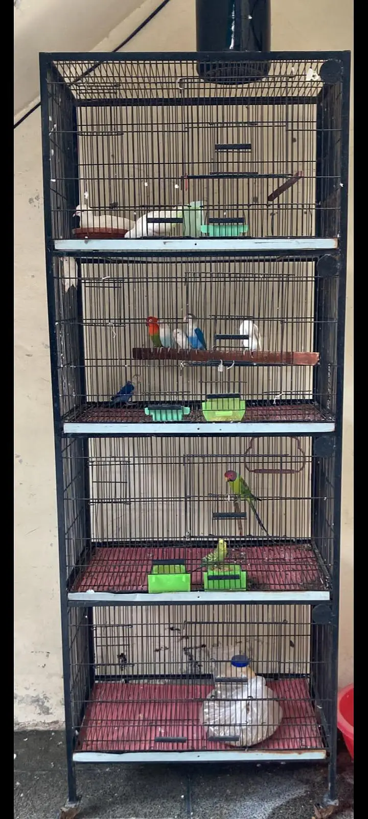 All setep for sale what app number 03018945771 — photo 10