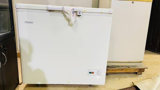 Haier single door freezer