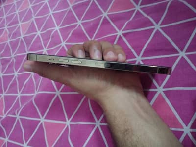 i phone 12 pro max
