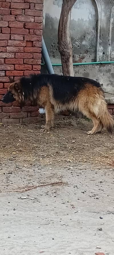 For sale