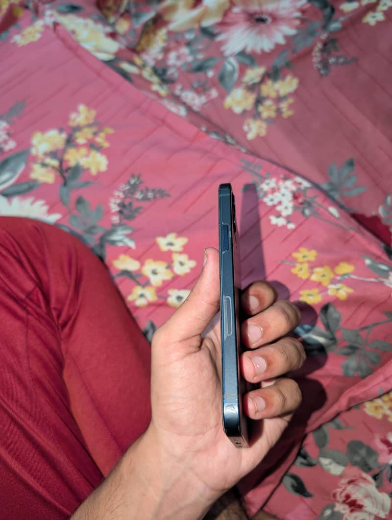 Apple iPhone 12 2