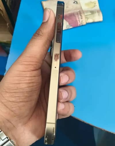 I phone 14 promax