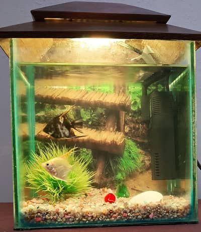 aquarium and 2 angle. .