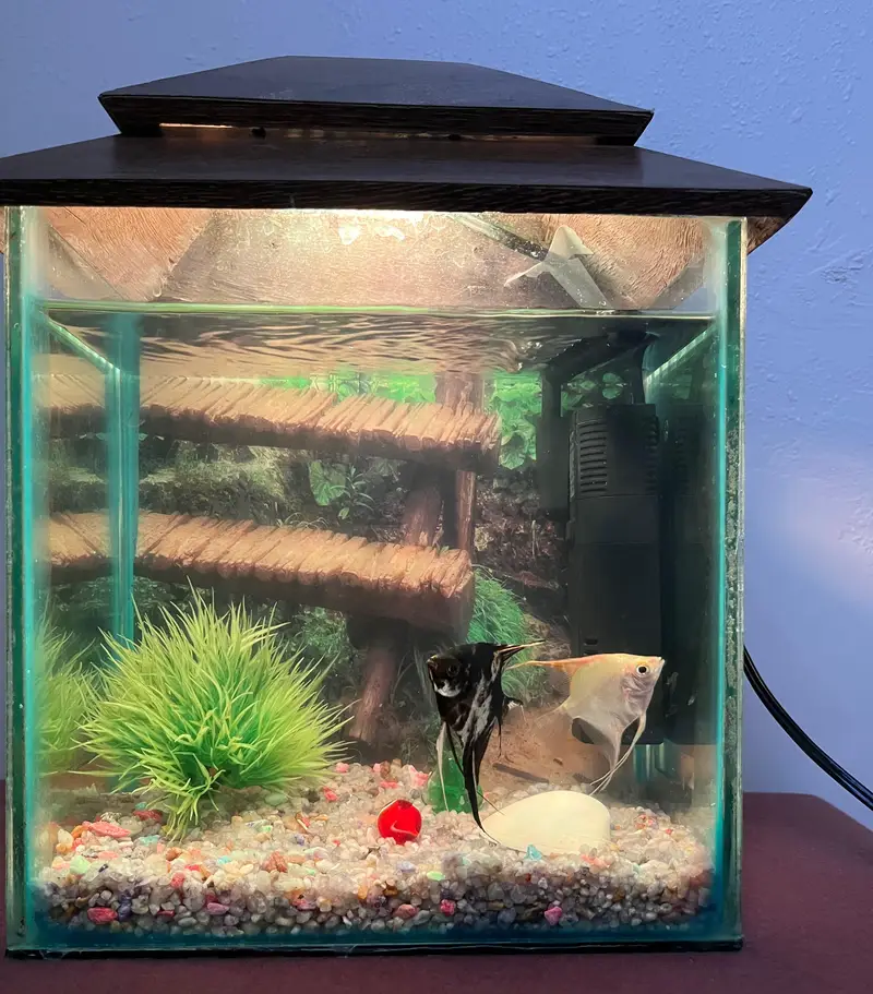 aquarium and 2 angle. .