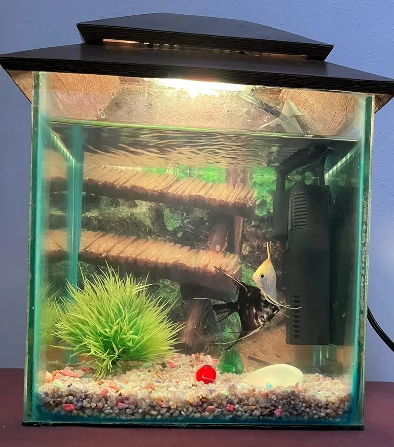 aquarium and 2 angle. . — photo 2