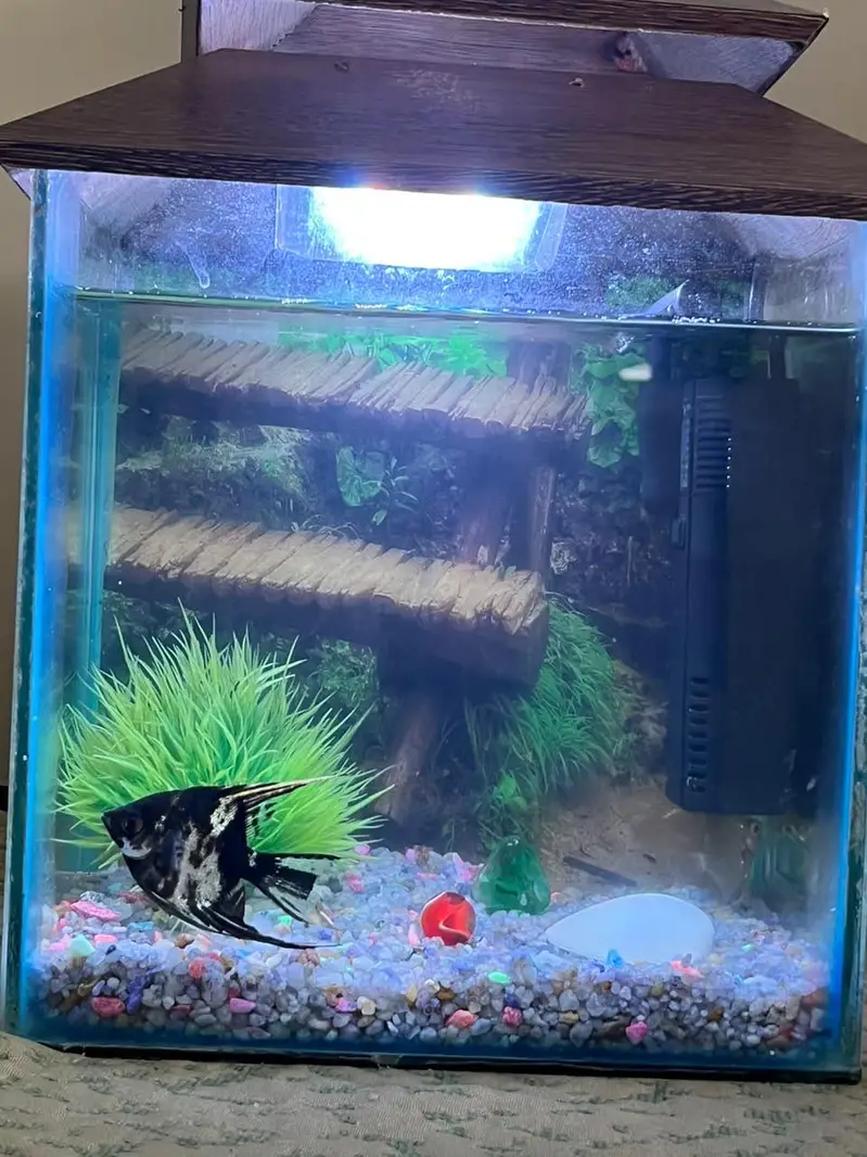 aquarium and 2 angle. . — photo 4