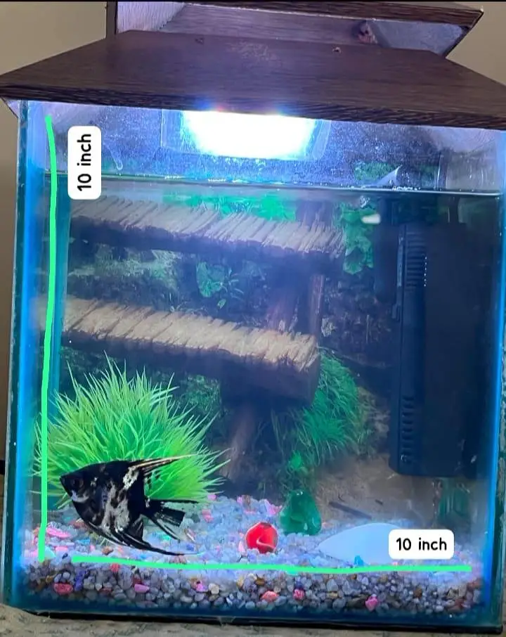 aquarium and 2 angle. . — photo 5