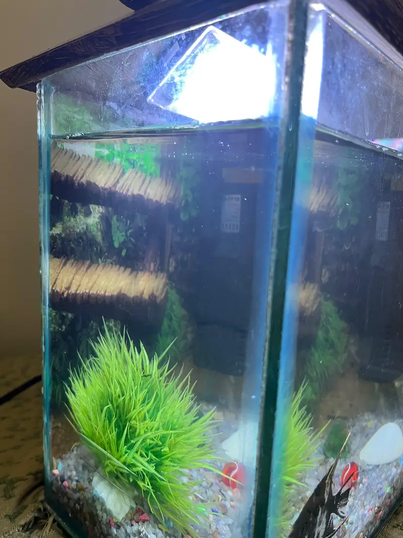 aquarium and 2 angle. . — photo 7