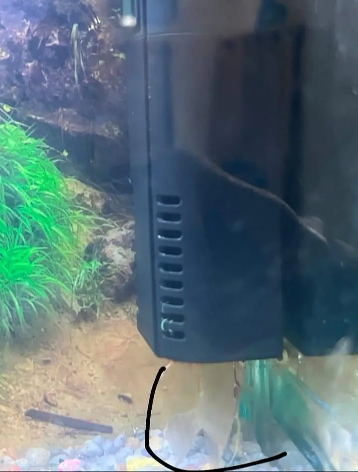 aquarium and 2 angle. . — photo 9