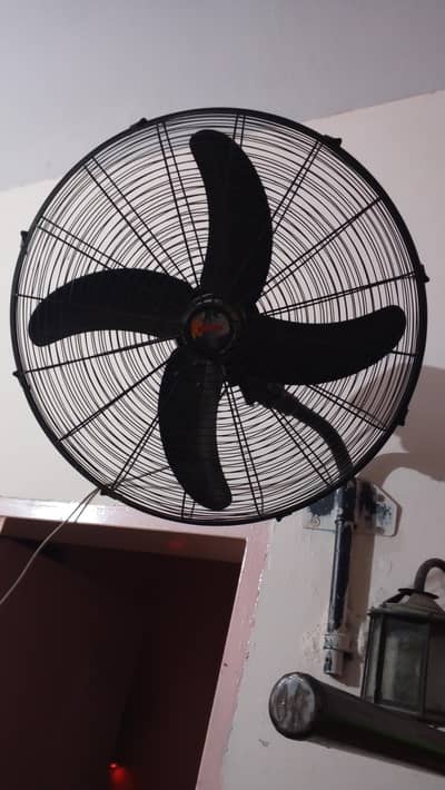 Royal, 24 inch, Wall Bracket Fan, and Copper Winding,