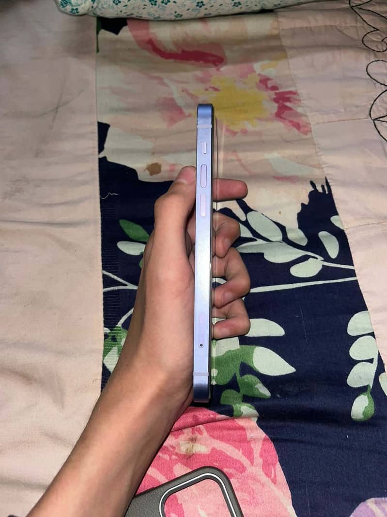Apple iPhone 12 1