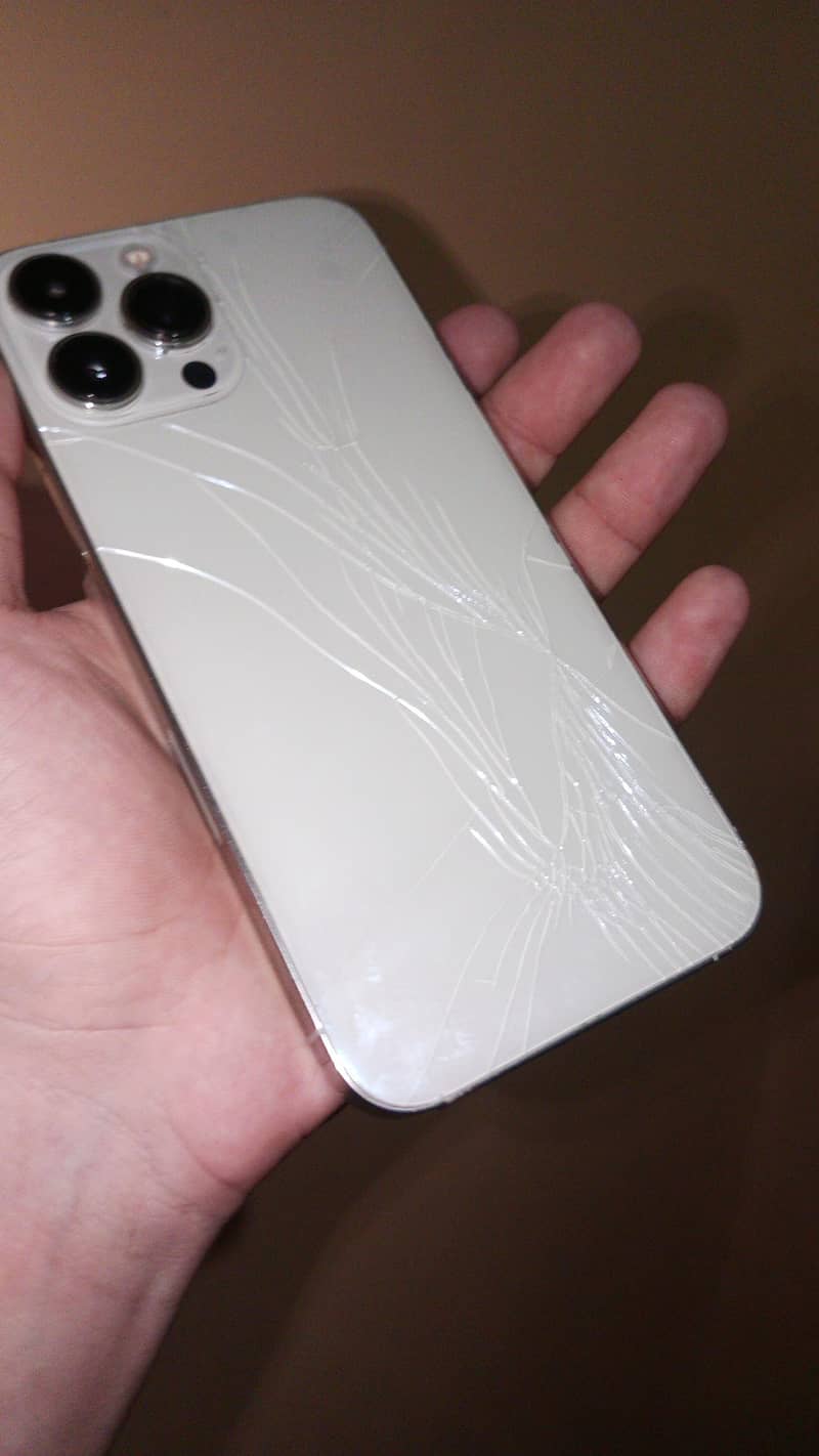 Apple iPhone 13 Pro Max 0