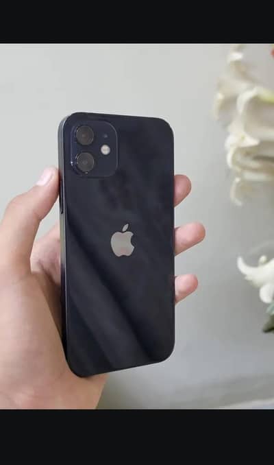 Apple iPhone 12 jv