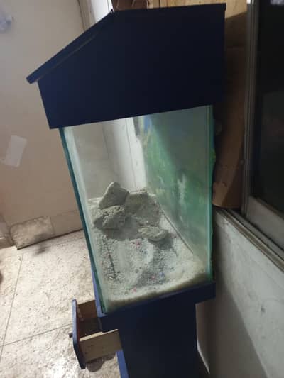 aquarium at reasonable price