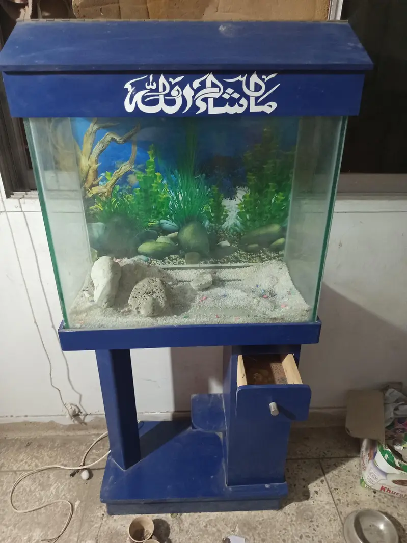 aquarium at reasonable price — photo 2