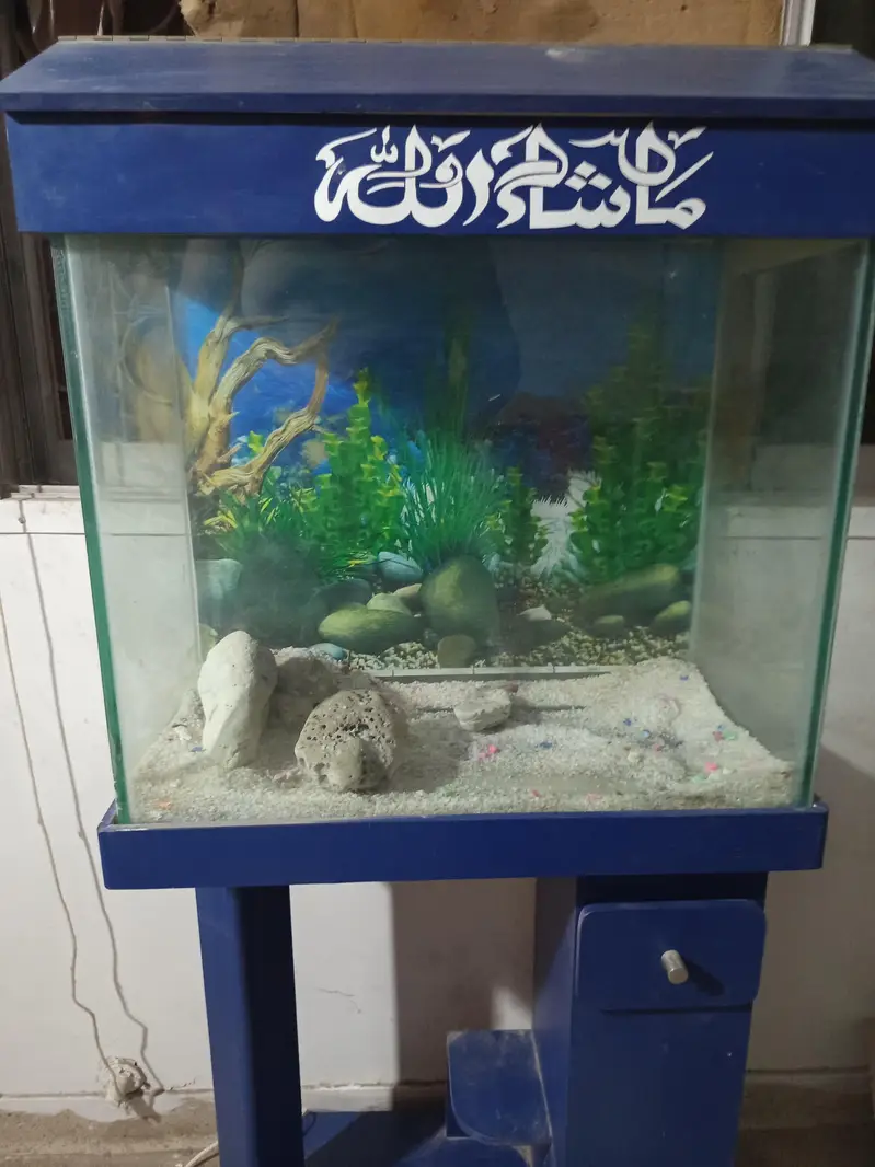 aquarium at reasonable price — photo 3