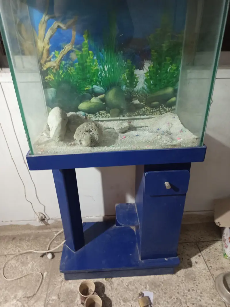 aquarium at reasonable price — photo 4