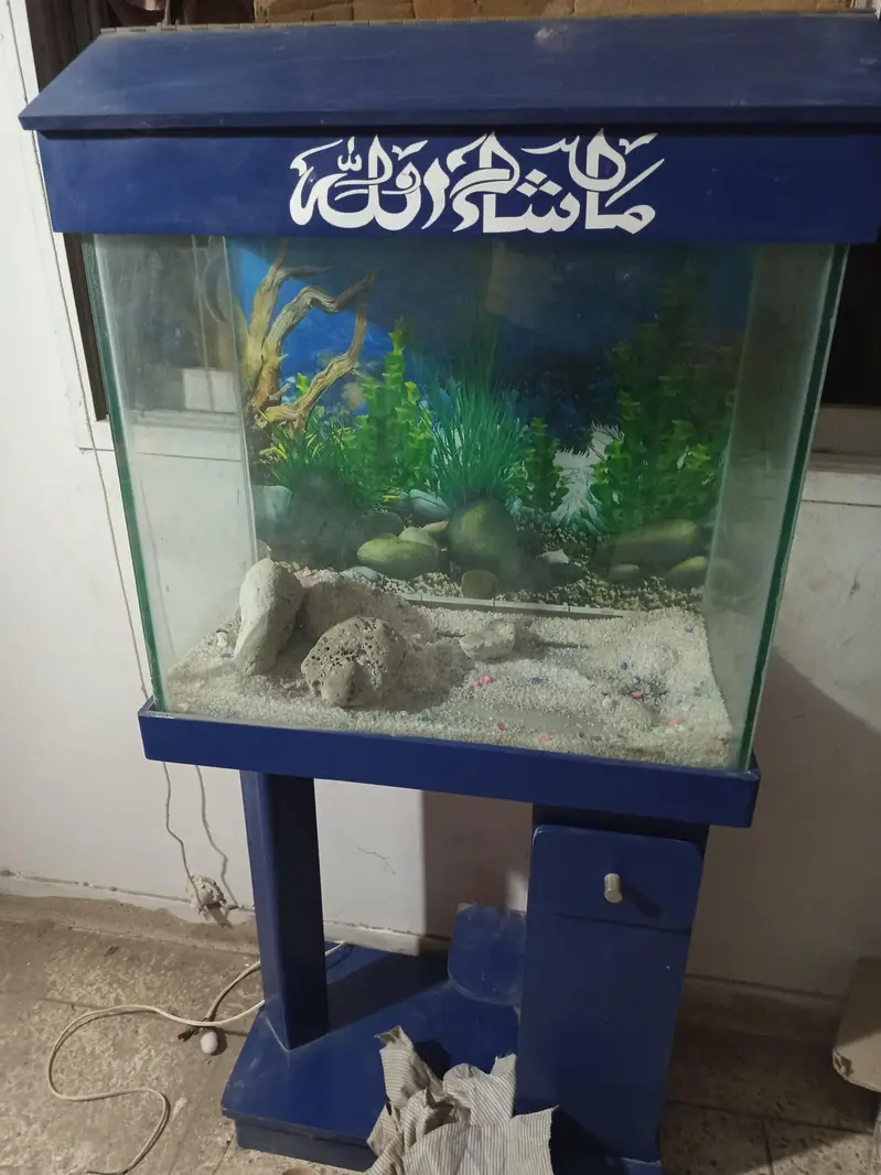 aquarium at reasonable price — photo 5