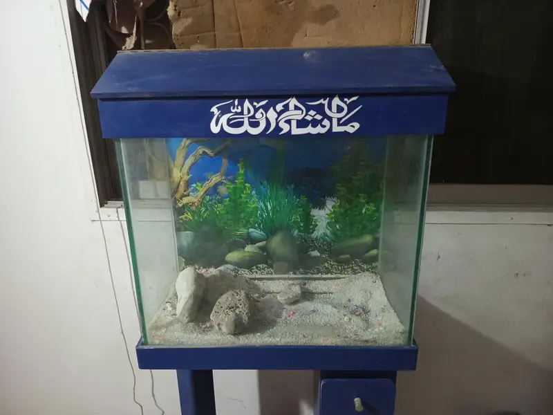 aquarium at reasonable price — photo 6