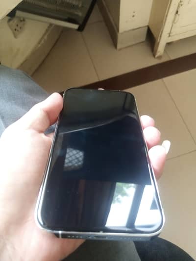 IPhone 13 Pro Max 256GB