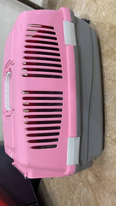 cat carrier