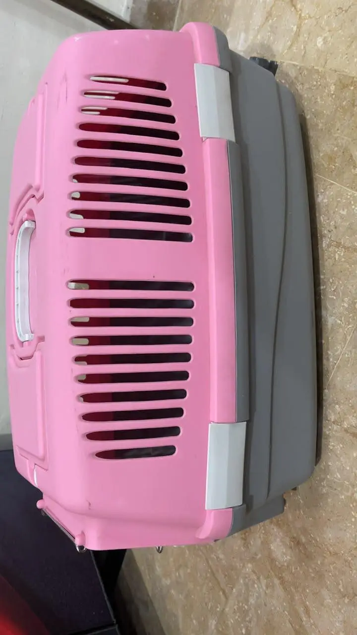 cat carrier