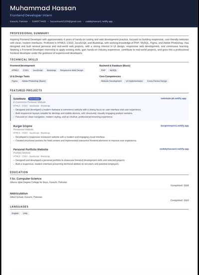 Website developer