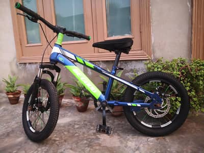 BEGOOD 16" Size Bicycle for Sale.