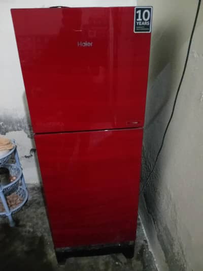 haier glass dor