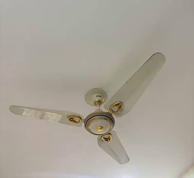 Royal Ceiling Fan for Sale