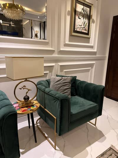 Pair of Modern Velvet Poshish Accent Chairs with Gold Frame Set of 2