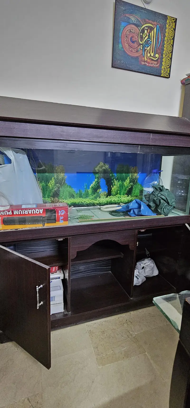 Fish Aquarium — photo 2