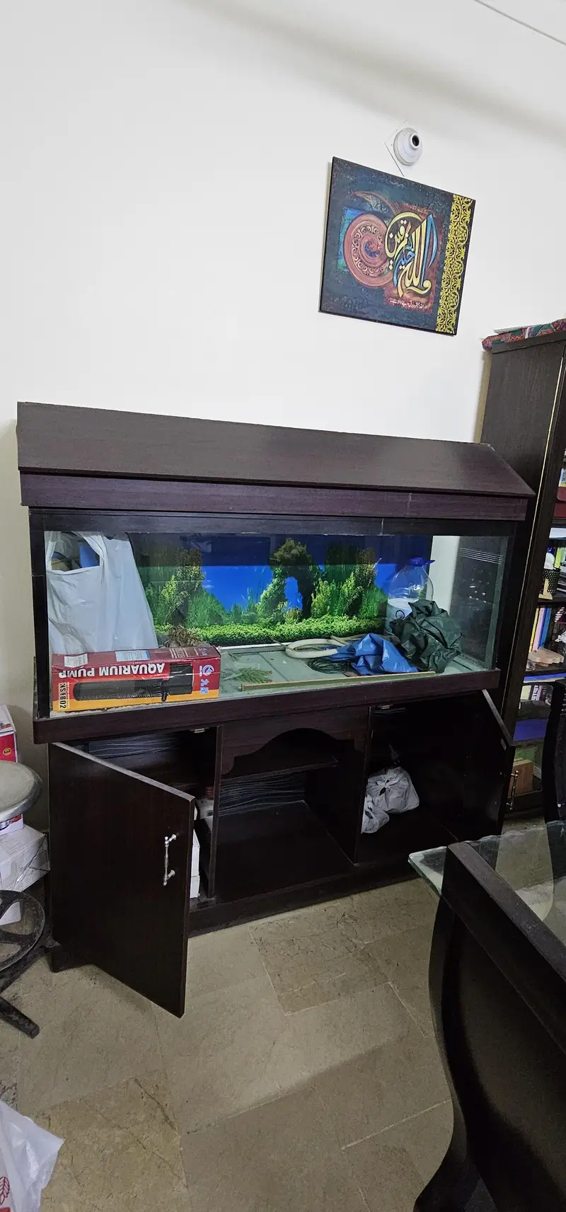 Fish Aquarium — photo 3