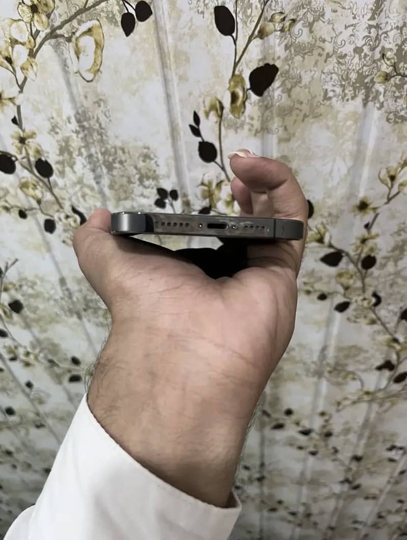 Apple iPhone 13 Pro Max 1